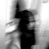 grazy.pfx