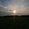 jaremurah.com