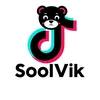 soolvikk