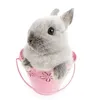 I like bunnies