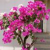 souleymanedoumbia74