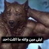 thebravecuteone