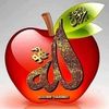 aydasallh
