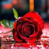 david.torrealba67
