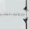 user8v09ws1xej