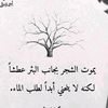 user1017098714606