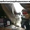 uyggbjkb