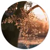 banenali_1191