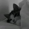 thatonecrazygirl0308