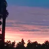 bi.th.mn389
