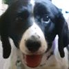 steve_charlotte