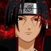 user609984100