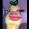 leslypillana1