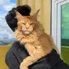 DiannacooninFB
