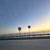 kaelynn_333