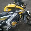 angelgaray713