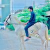 mohalsab361