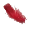 user3jzh05hswq