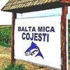baltamicacojesti