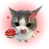 suga8343