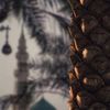 somaabdalla02