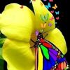 user116006330141