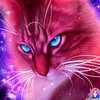 user5331753607961