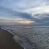 _.nimm221