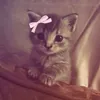 itsmemjia