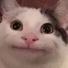 user9xvrrprf8z