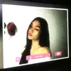 lash.rys_