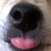 kisamo24