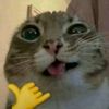 uusysuud