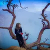 lisaaffri