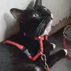 santuy10_