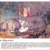 kaziranga_enthusiast