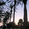 chloeslays2589