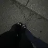 bigbossetii