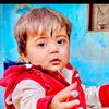 shakeel.khan.2