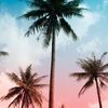 samira2869