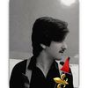 alibk333