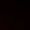 _sofia.viol_