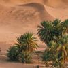 gha_486