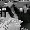 yy_veliz