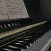 piano2490