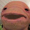 pureditto