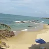 nelbepaiva