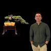 OPANK BONSAI BALI