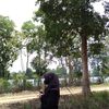 gesliwindia