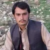 ateequllah537